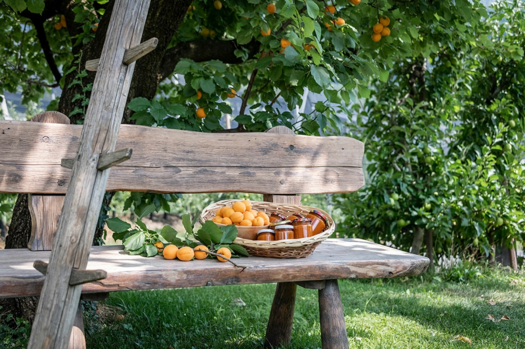 Hofprodukte Marillen Marmelade